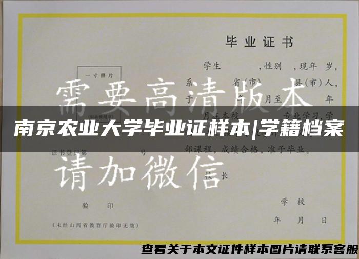 南京农业大学毕业证样本|学籍档案