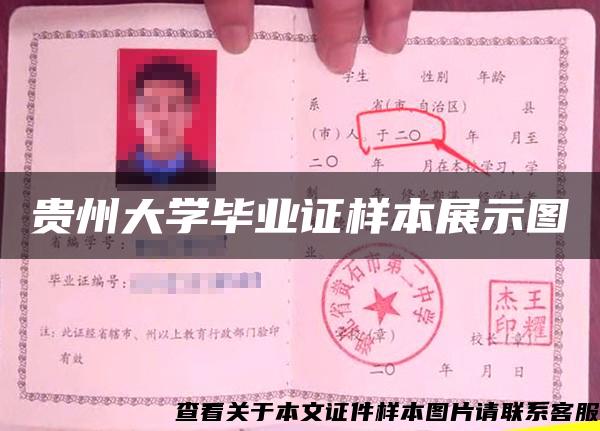 贵州大学毕业证样本展示图