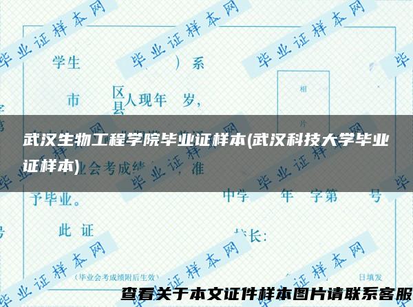 武汉生物工程学院毕业证样本(武汉科技大学毕业证样本)