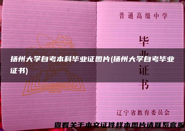 扬州大学自考本科毕业证图片(扬州大学自考毕业证书)