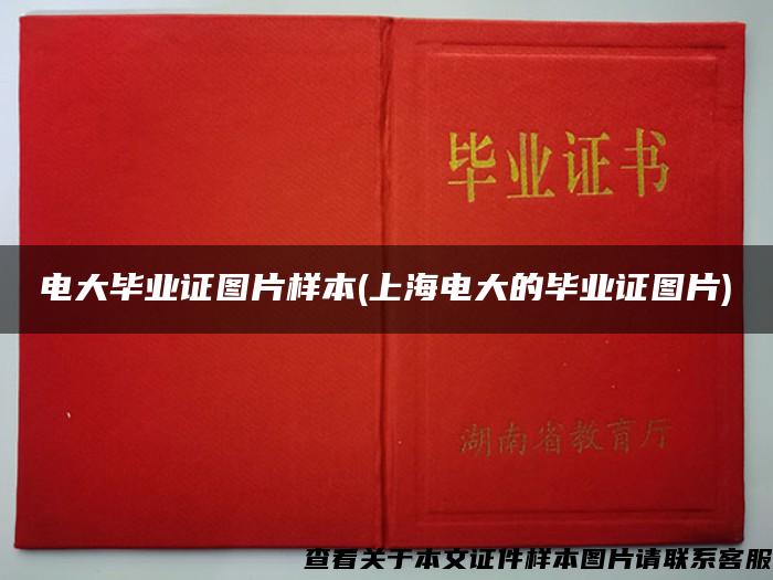电大毕业证图片样本(上海电大的毕业证图片)