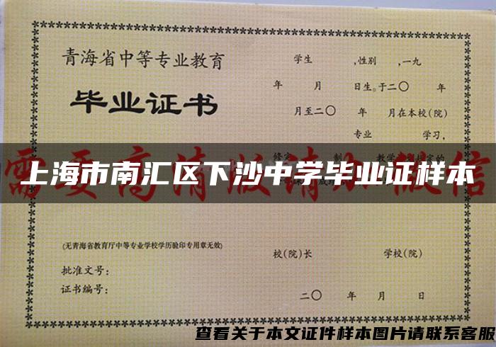 上海市南汇区下沙中学毕业证样本