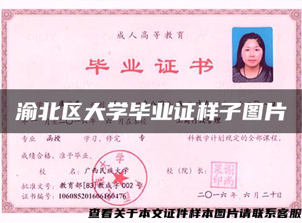 渝北区大学毕业证样子图片