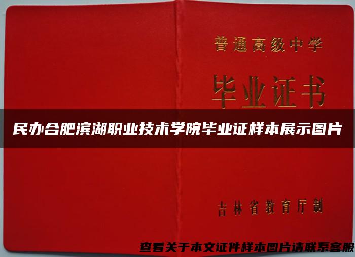 民办合肥滨湖职业技术学院毕业证样本展示图片