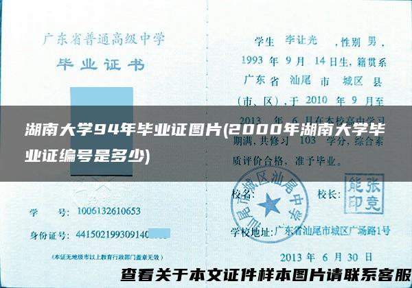 湖南大学94年毕业证图片(2000年湖南大学毕业证编号是多少)