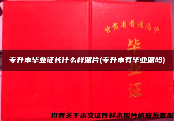 专升本毕业证长什么样照片(专升本有毕业照吗)