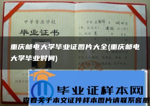 重庆邮电大学毕业证图片大全(重庆邮电大学毕业时间) 重庆邮电大学毕业证图片大全(重庆邮电大学毕业时间)