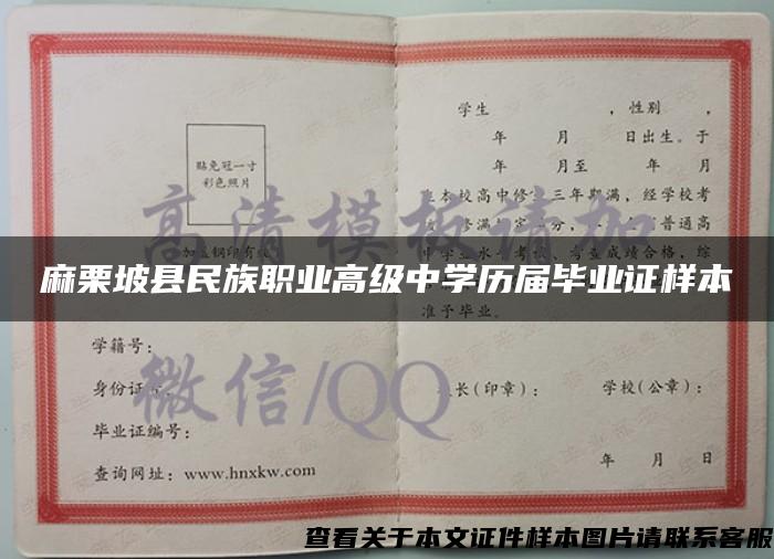 麻栗坡县民族职业高级中学历届毕业证样本