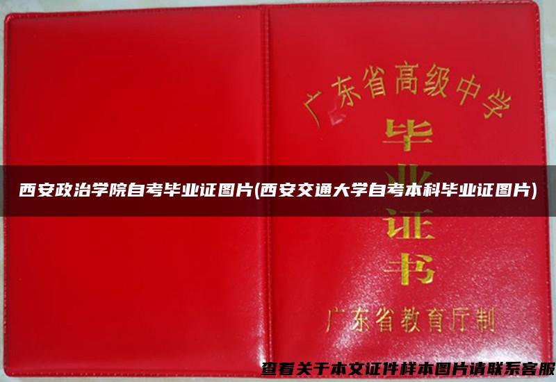 西安政治学院自考毕业证图片(西安交通大学自考本科毕业证图片)