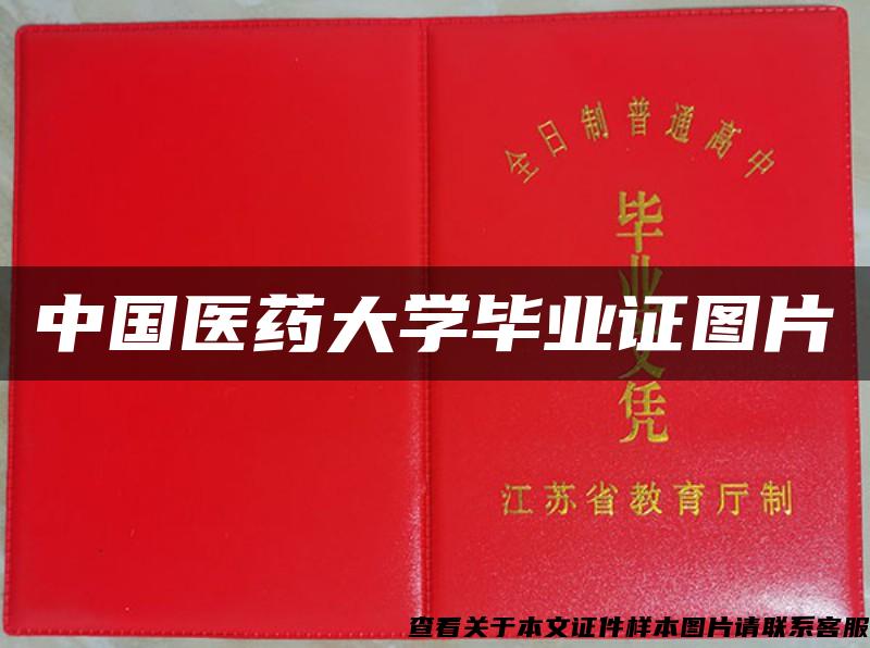 中国医药大学毕业证图片