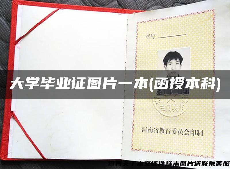 大学毕业证图片一本(函授本科) 大学毕业证图片一本(函授本科)