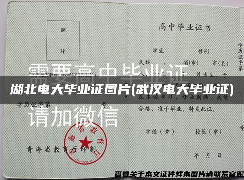 湖北电大毕业证图片(武汉电大毕业证)