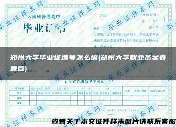 郑州大学毕业证编号怎么填(郑州大学就业备案表盖章)