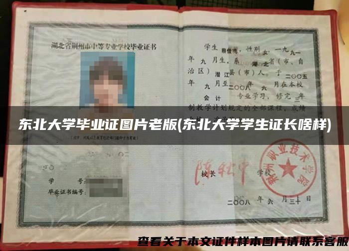 东北大学毕业证图片老版(东北大学学生证长啥样) 东北大学毕业证图片老版(东北大学学生证长啥样)