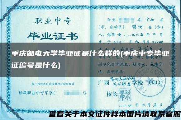 重庆邮电大学毕业证是什么样的(重庆中专毕业证编号是什么)