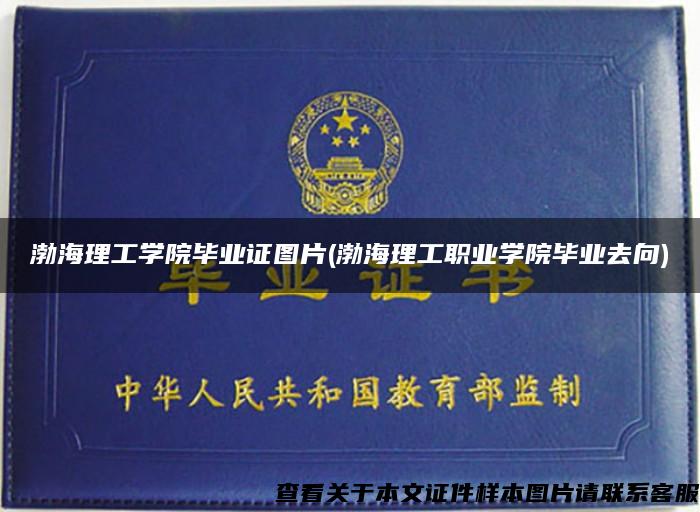 渤海理工学院毕业证图片(渤海理工职业学院毕业去向)