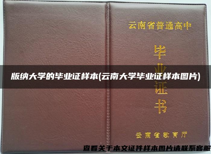版纳大学的毕业证样本(云南大学毕业证样本图片)