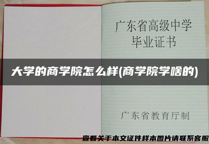 大学的商学院怎么样(商学院学啥的) 大学的商学院怎么样(商学院学啥的)
