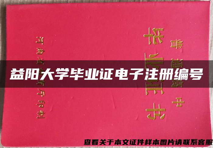 益阳大学毕业证电子注册编号 益阳大学毕业证电子注册编号