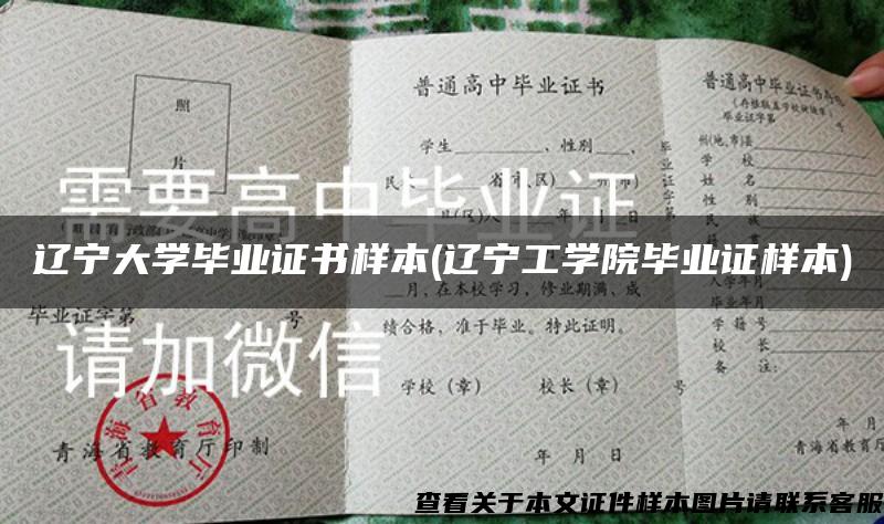 辽宁大学毕业证书样本(辽宁工学院毕业证样本)