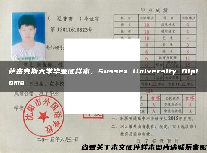 萨塞克斯大学毕业证样本,Sussex University Diploma 萨塞克斯大学毕业证样本,Sussex University Diploma