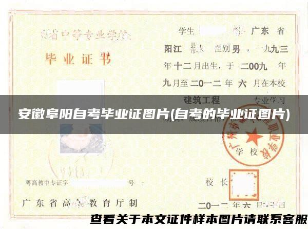安徽阜阳自考毕业证图片(自考的毕业证图片)