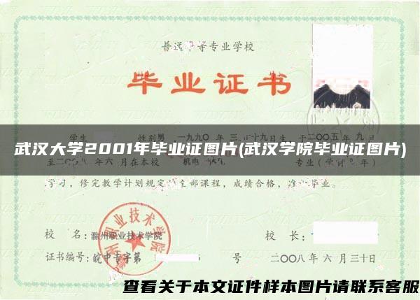 武汉大学2001年毕业证图片(武汉学院毕业证图片)