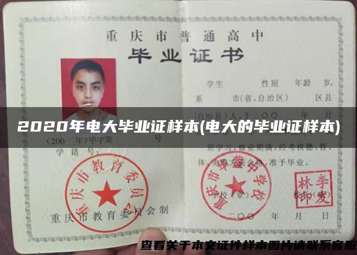 2020年电大毕业证样本(电大的毕业证样本)