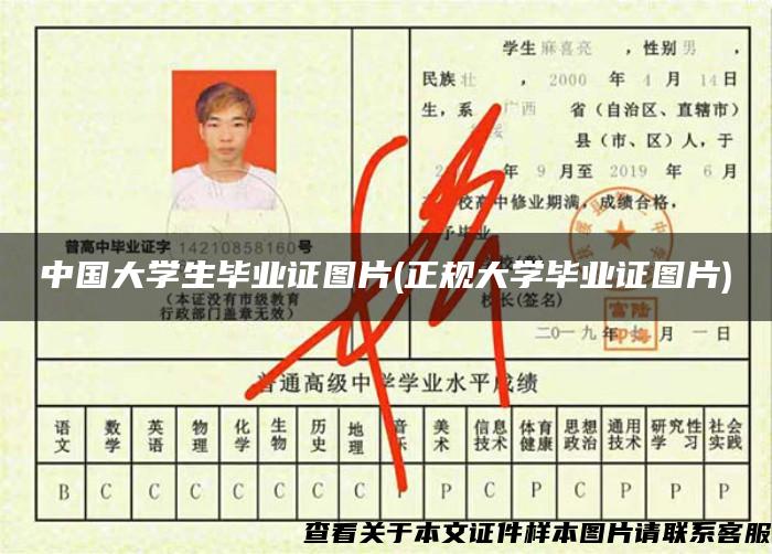 中国大学生毕业证图片(正规大学毕业证图片)