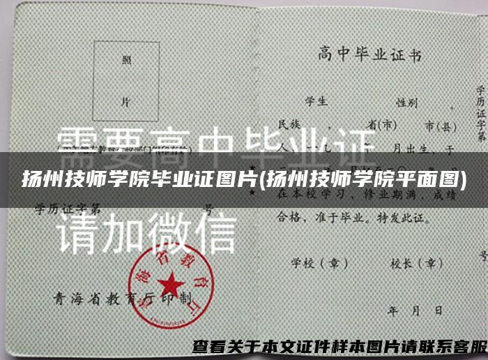 扬州技师学院毕业证图片(扬州技师学院平面图)
