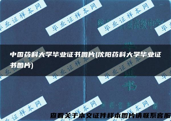 中国药科大学毕业证书图片(沈阳药科大学毕业证书图片)