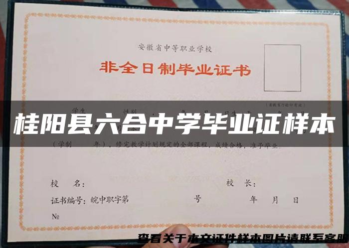 桂阳县六合中学毕业证样本