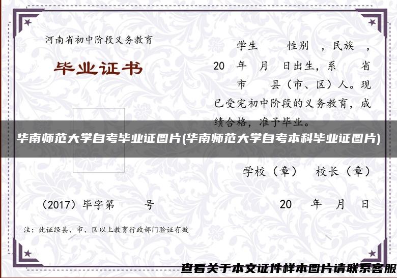 华南师范大学自考毕业证图片(华南师范大学自考本科毕业证图片)