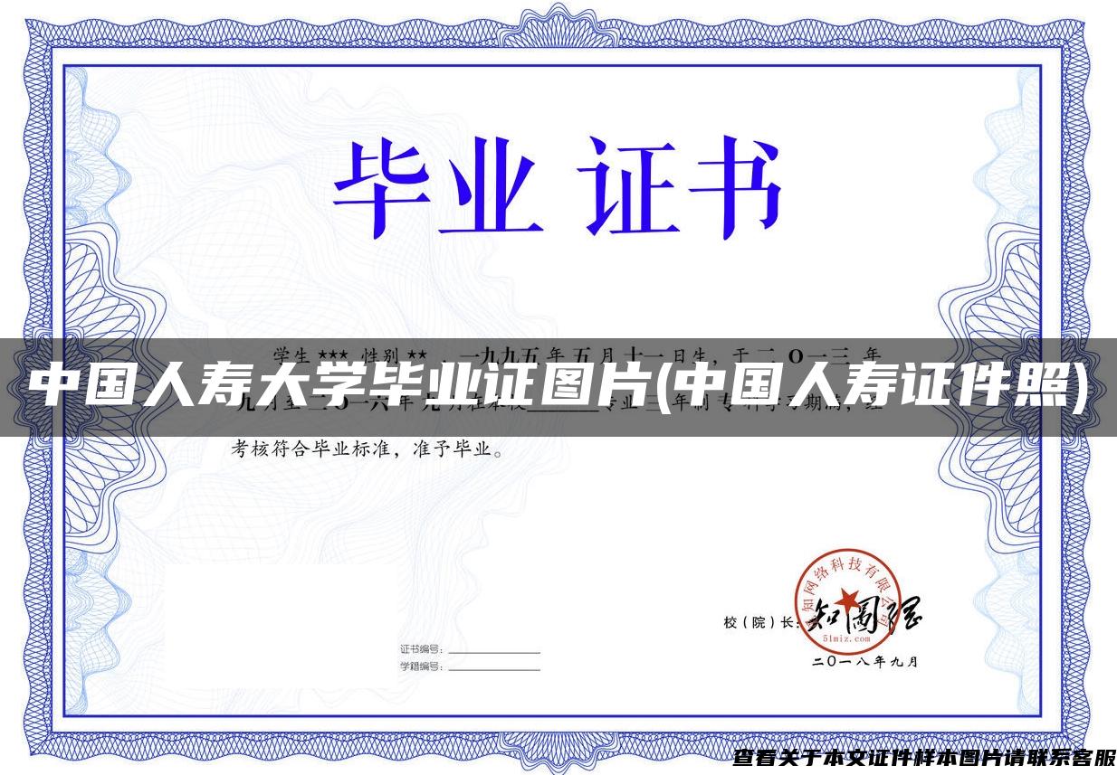 中国人寿大学毕业证图片(中国人寿证件照)