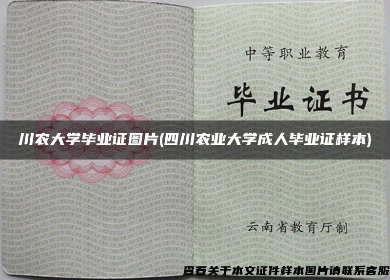 川农大学毕业证图片(四川农业大学成人毕业证样本)