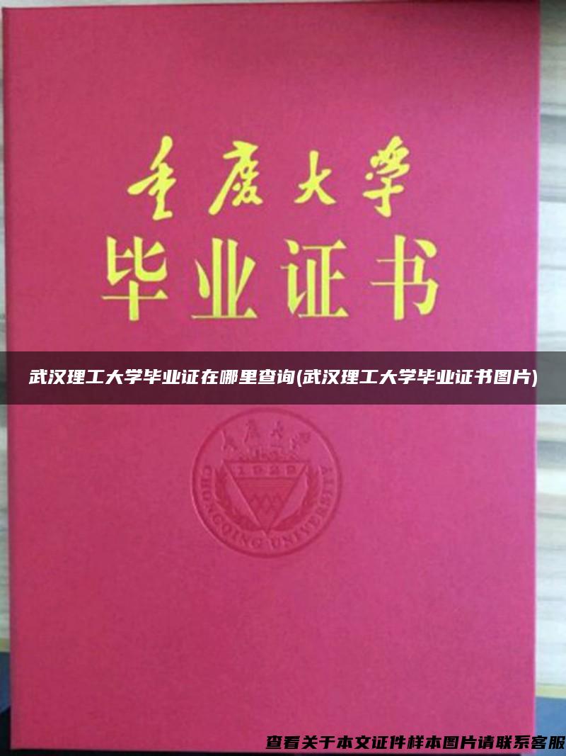 武汉理工大学毕业证在哪里查询(武汉理工大学毕业证书图片)
