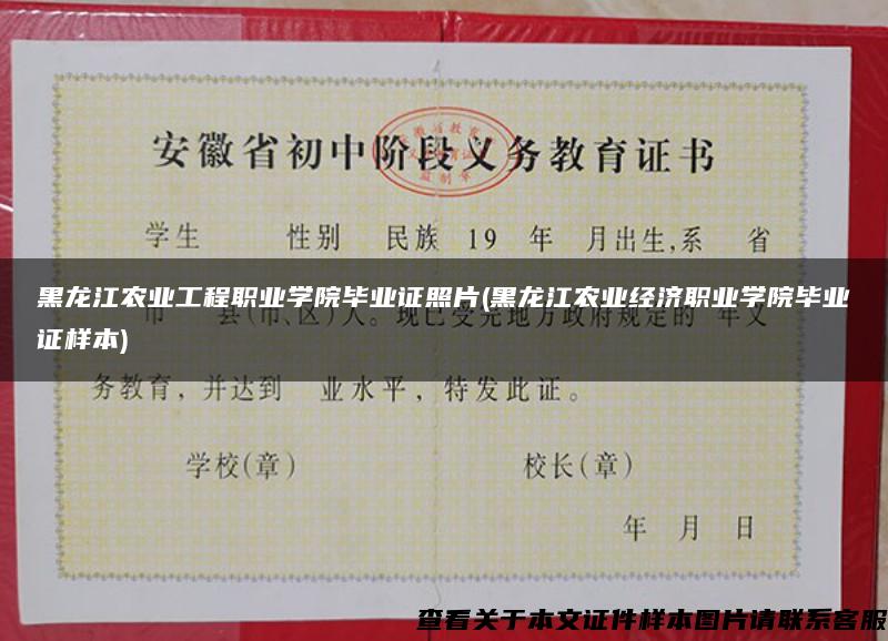 黑龙江农业工程职业学院毕业证照片(黑龙江农业经济职业学院毕业证样本)