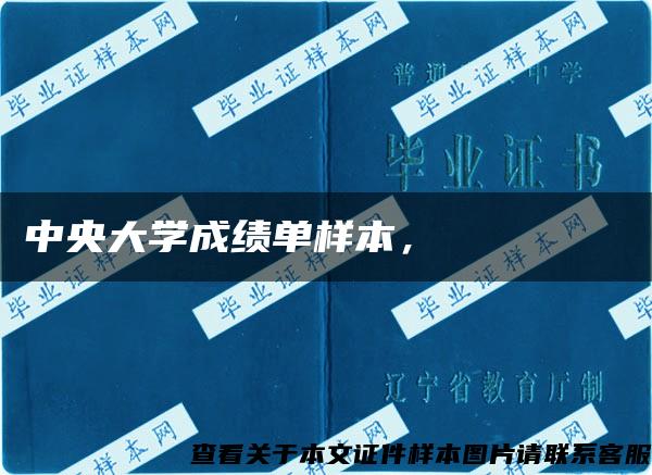 中央大学成绩单样本，중앙대학교 성적표