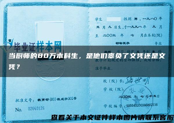 当厨师的80万本科生,是他们辜负了文凭还是文凭? 当厨师的80万本科生,是他们辜负了文凭还是文凭?