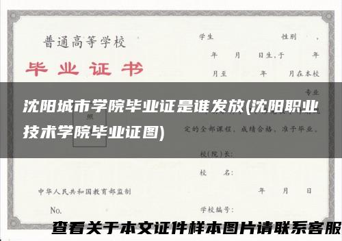 沈阳城市学院毕业证是谁发放(沈阳职业技术学院毕业证图)