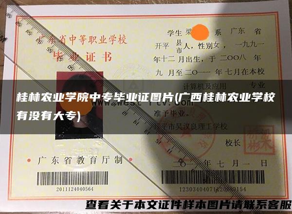 桂林农业学院中专毕业证图片(广西桂林农业学校有没有大专)