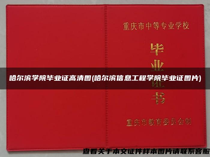 哈尔滨学院毕业证高清图(哈尔滨信息工程学院毕业证图片)