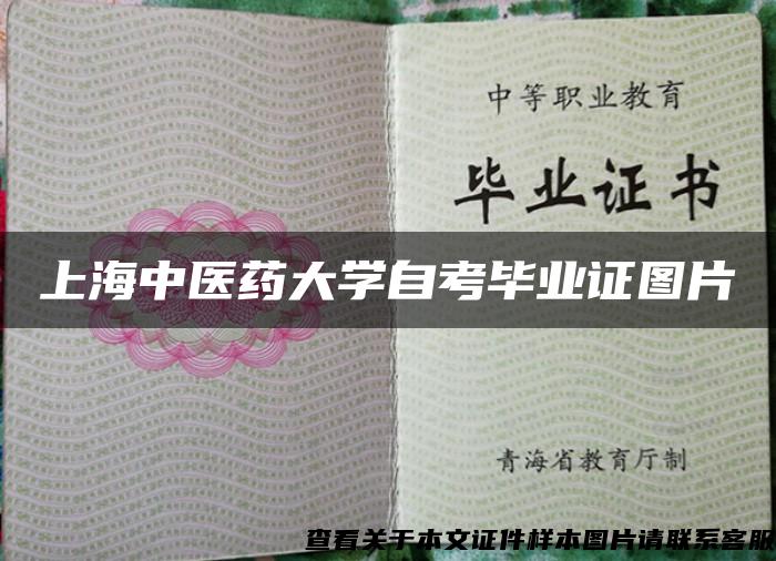上海中医药大学自考毕业证图片