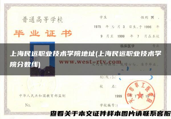 上海民远职业技术学院地址(上海民远职业技术学院分数线)