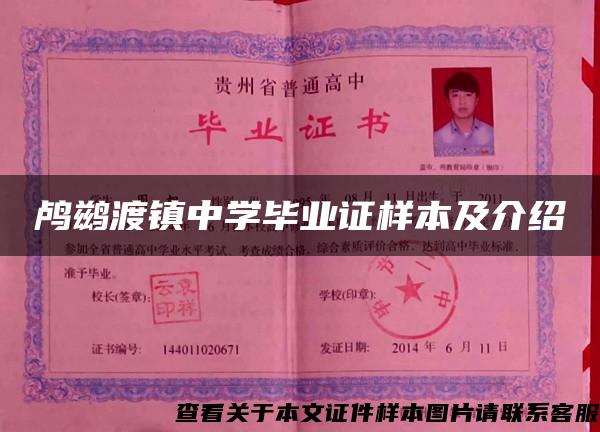 鸬鹚渡镇中学毕业证样本及介绍