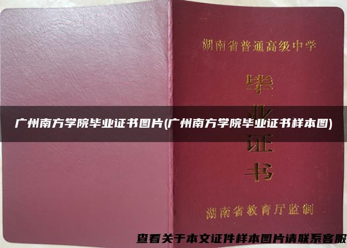 广州南方学院毕业证书图片(广州南方学院毕业证书样本图)