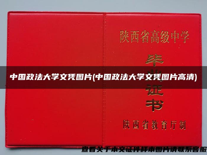 中国政法大学文凭图片(中国政法大学文凭图片高清)