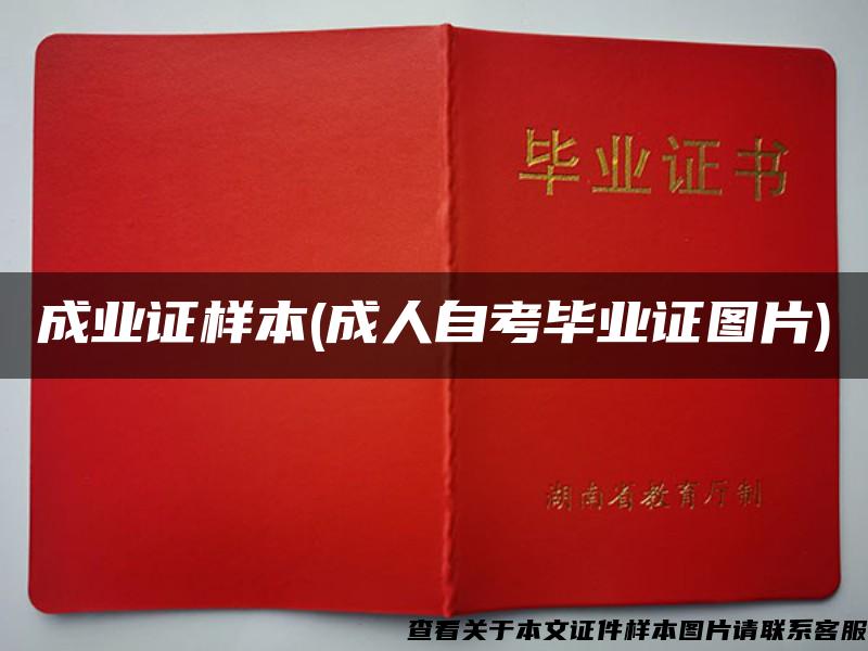 成业证样本(成人自考毕业证图片) 成业证样本(成人自考毕业证图片)