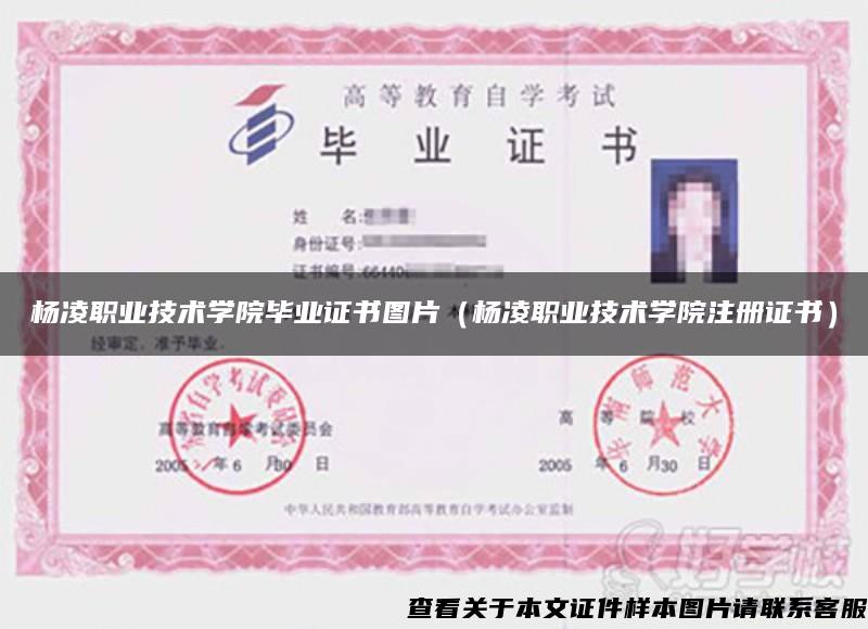杨凌职业技术学院毕业证书图片（杨凌职业技术学院注册证书）