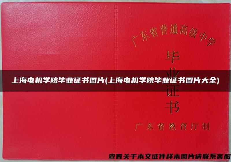 上海电机学院毕业证书图片(上海电机学院毕业证书图片大全)
